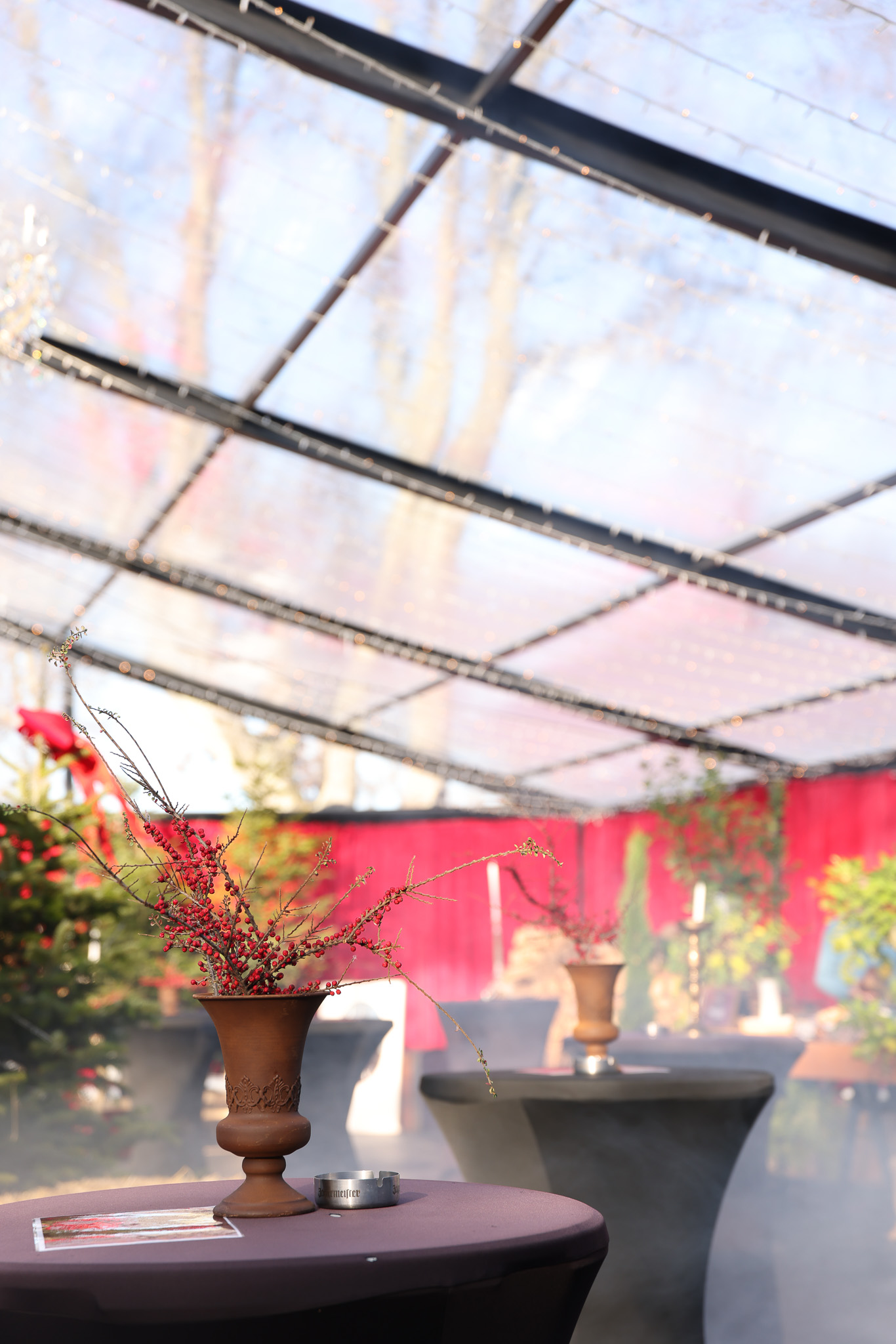 Winter Magic at D’Orangerie