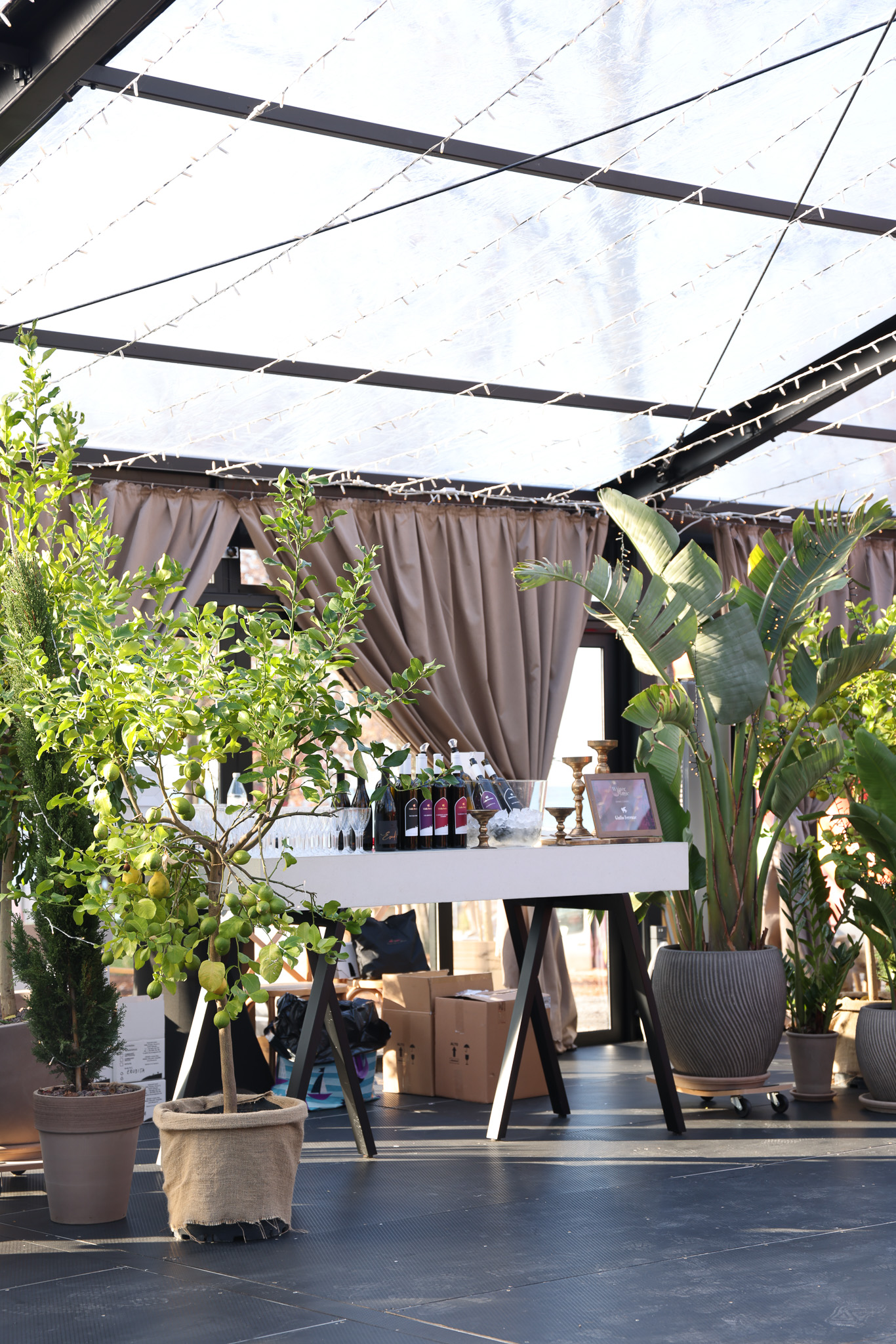 Winter Magic at D’Orangerie